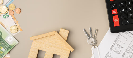 Comprar, reformar y vender